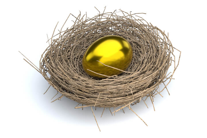 golden egg in a nest, investing in real estate as a nest egg building strategy